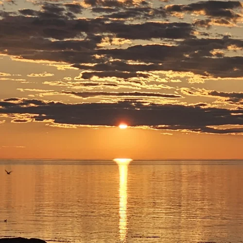 Coucher de soleil sur le fleuve
