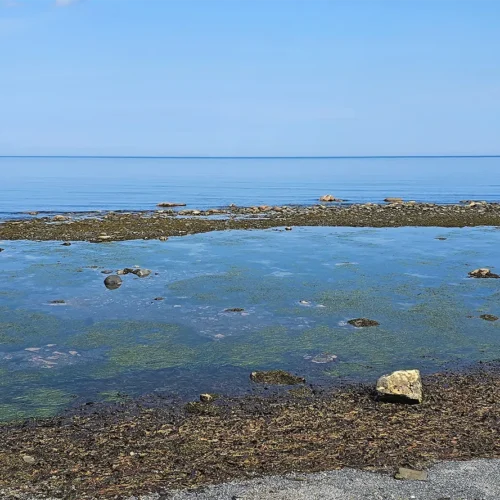 Marée basse à Matane