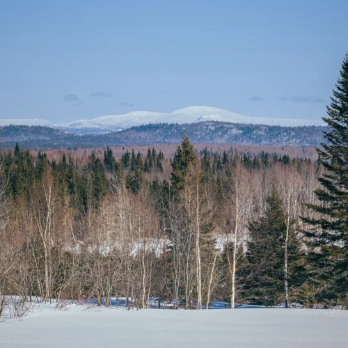 Mont de l’Ouest