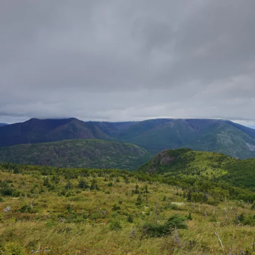 Panorama sur le Mont Albert