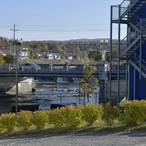 Parc Alexandre-Nadeau et pont sur la rivière Matane