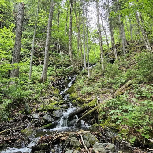 Sentier SIA et cascade